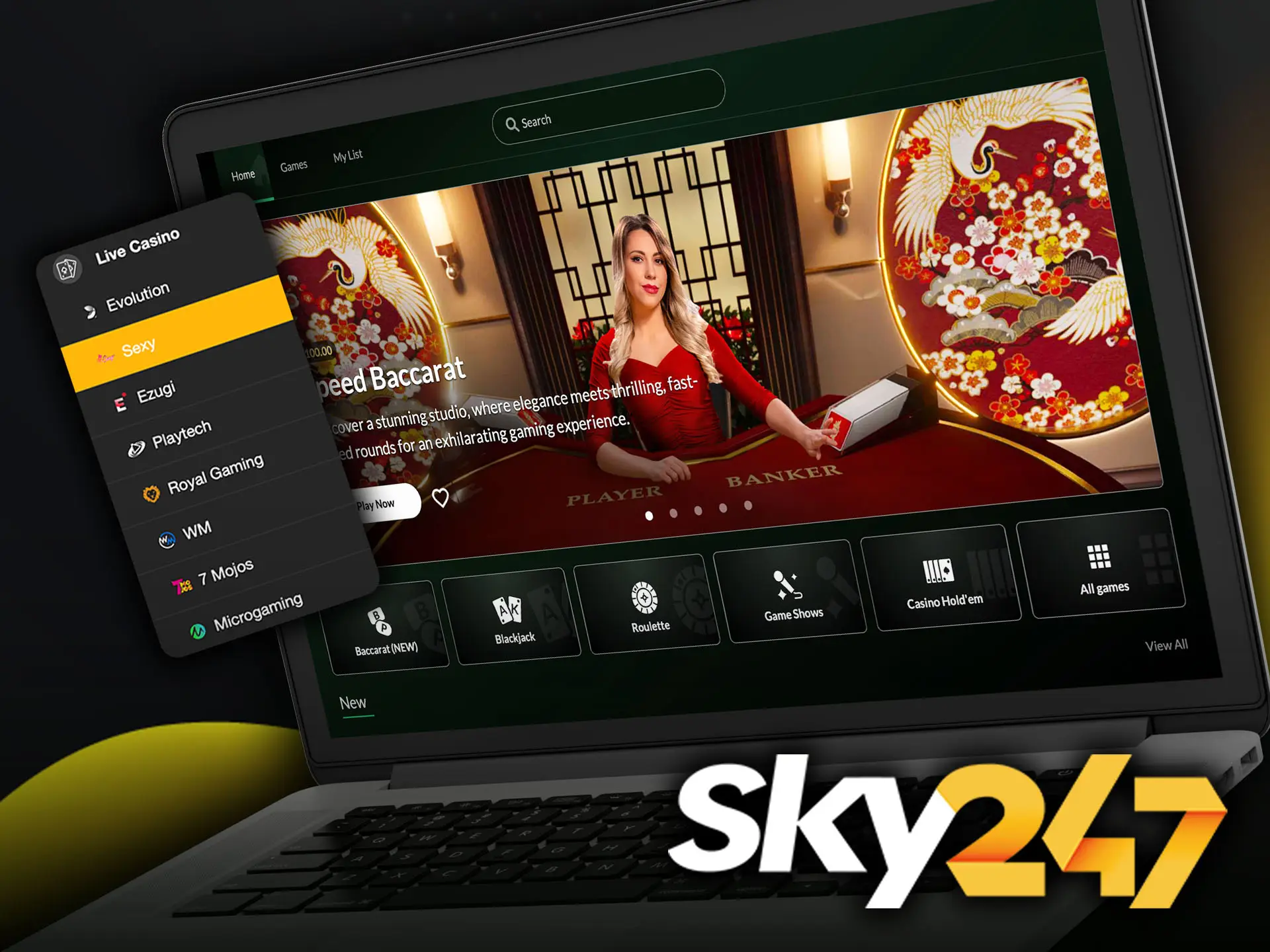 Learn about the available providers at Sky247 Casino and identify the best one for you.