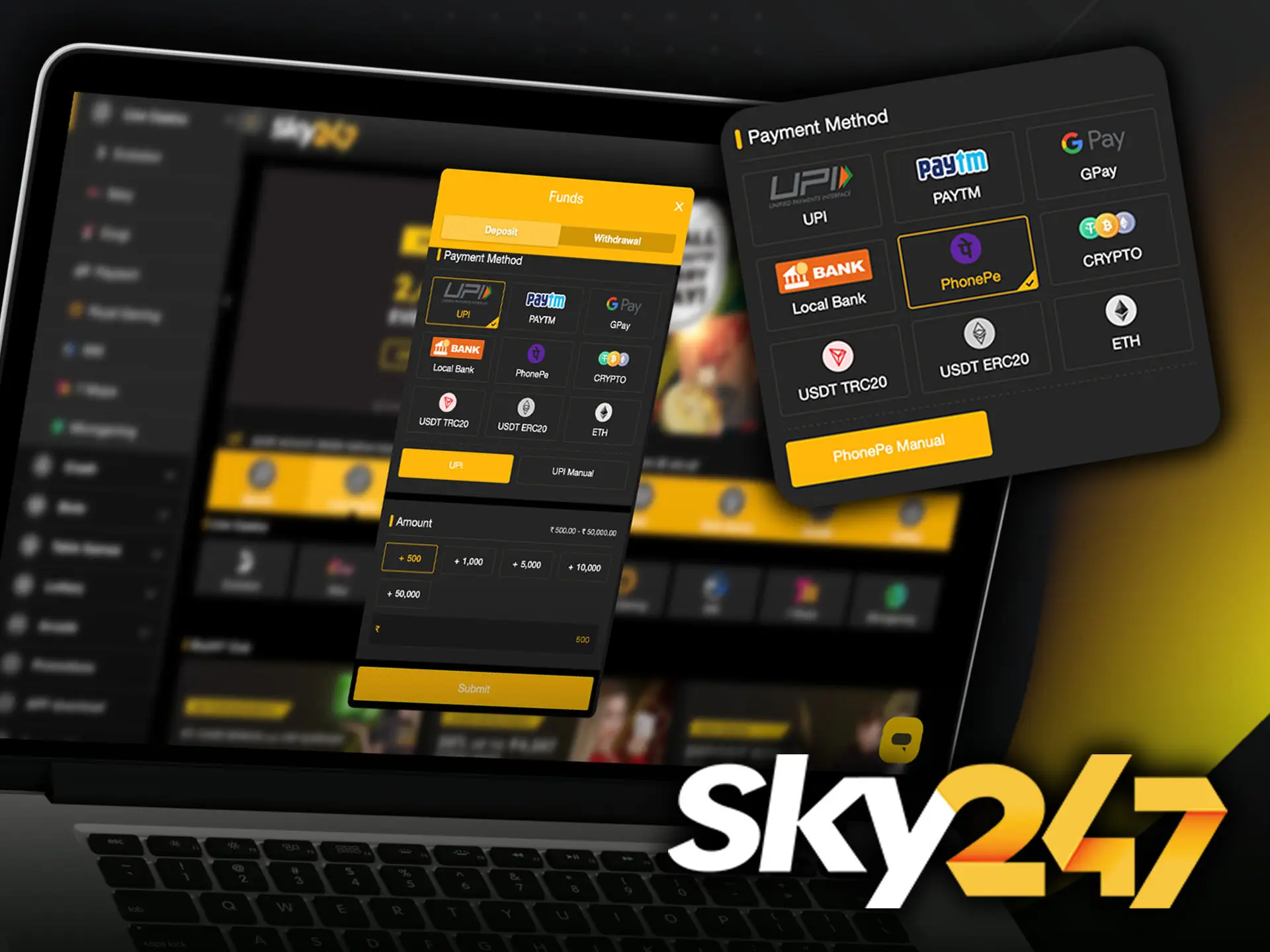 Take advantage of convenient and fast methods of depositing at Sky247 Casino.