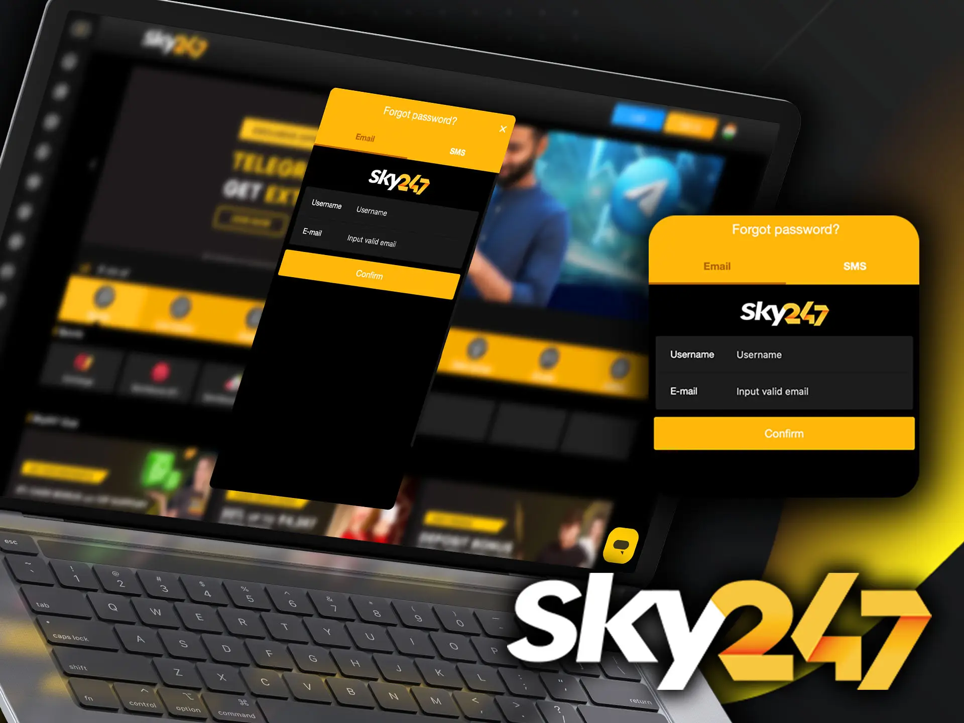 The Sky247 casino site is easy to use and you won't have any trouble recovering your password.